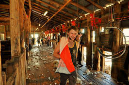Steam Plains Shearing 022571 © Claire Parks Photography 